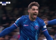 三亿体育体育下载-富勒姆主场被绝杀，四战全负排名垫底的简单介绍