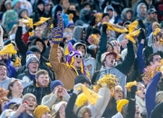 三亿体育体育app下载-猛龙豪取胜利，稳固东部第二位置