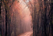 三亿体育体育登录入口-切尔西球队初露冠军相，追梦之路