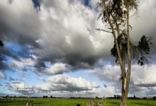 三亿体育体育网址-澳大利亚飞跃新纪录，跳高天才摘得金牌荣光