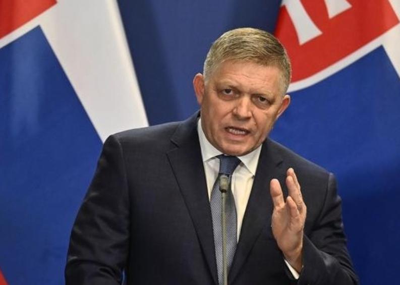 斯洛伐克反击起风波,实力不容小觑的简单介绍 斯洛伐克反击起风波,实力不容小觑的简单介绍